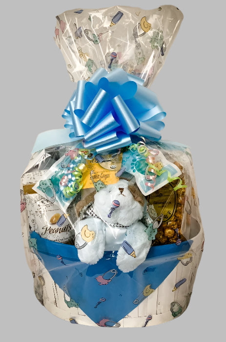 Jenny's Baby Boy Gift Basket - Large