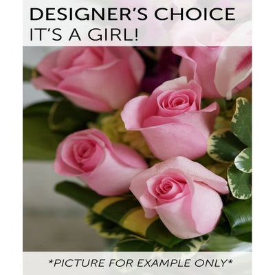 Designers Choice - Its a Girl Designers Choice - Its a Girl