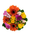 Farm-To-Door Delivery: Original Fall
