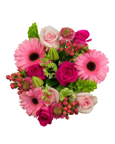 Farm-To-Door Delivery: Bubble Gum Farm-To-Door Delivery: Bubble Gum