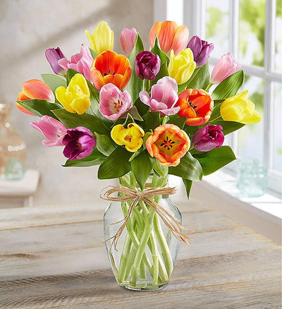 Timeless Tulips Timeless Tulips