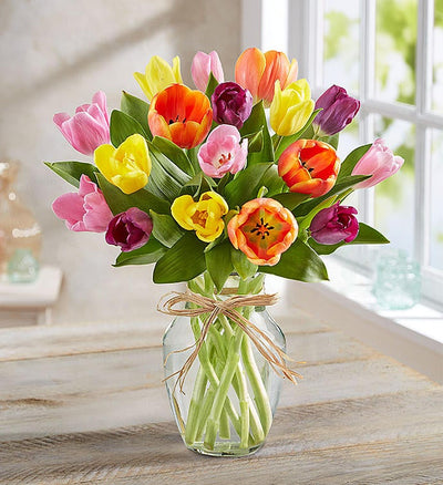 Timeless Tulips Timeless Tulips