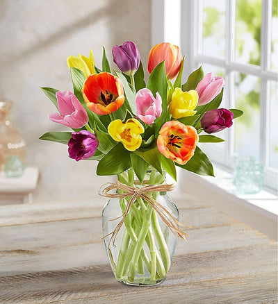 Timeless Tulips Timeless Tulips