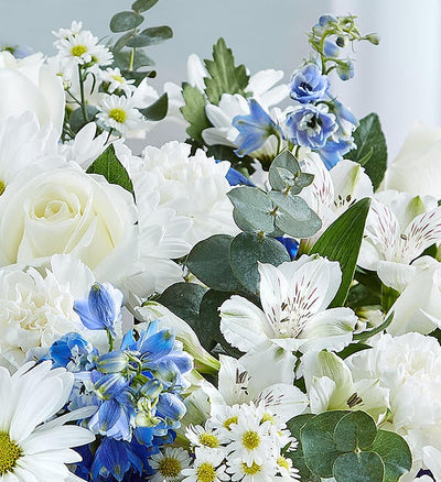 Cherished Memories Blue & White Cherished Memories Blue & White