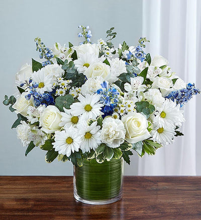 Cherished Memories Blue & White Cherished Memories Blue & White