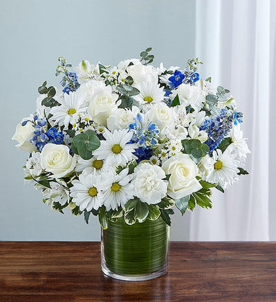 Cherished Memories Blue & White Cherished Memories Blue & White