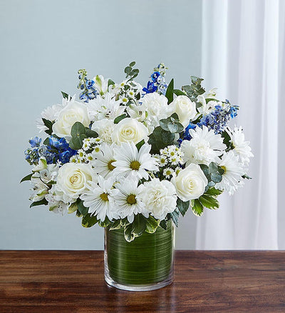 Cherished Memories Blue & White Cherished Memories Blue & White