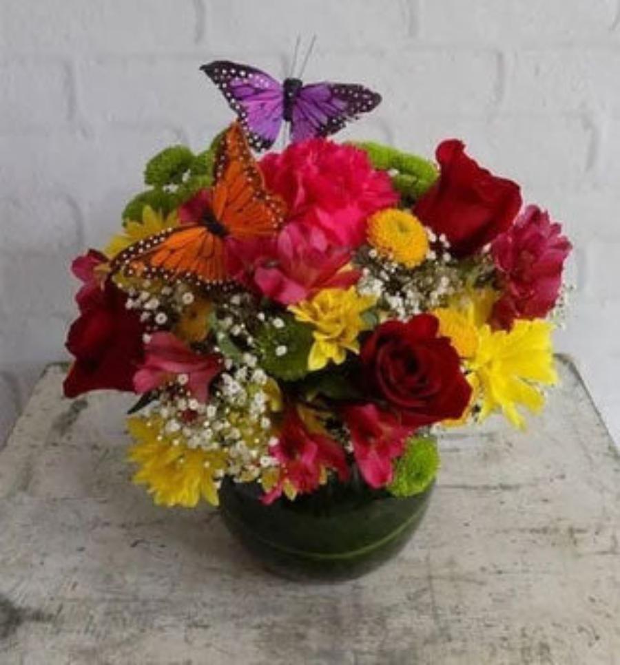 Precious with Butterflies