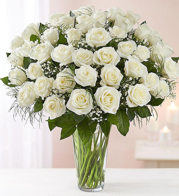 Rosas Blancas de Tallo Largo Deluxe Elegance