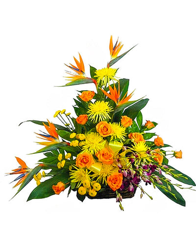 Tropical Paradise Birds of Paradise Rustic Basket Tropical Paradise Birds of Paradise Rustic Basket