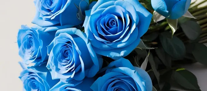 A vibrant bouquet of bright blue roses with lush green foliage, arranged neatly on a plain, light-colored background.