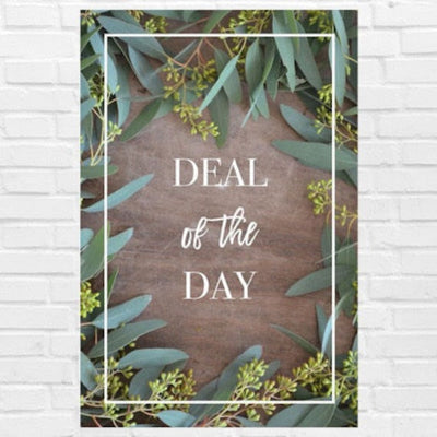 Deal of the Day Deal of the Day