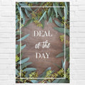 Deal of the Day