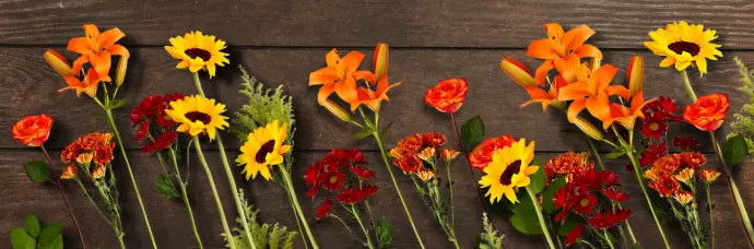 Autumn flower stems of bright yellow sunflowers, deep red mums, and vibrant orange lilies arranged on rustic dark wood.
