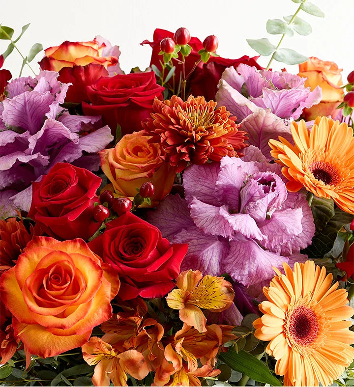 Garden of Grandeur for Fall Bouquet of colorful flowers including roses and daisies on a white background