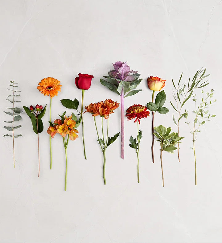 Assorted flowers on a white background