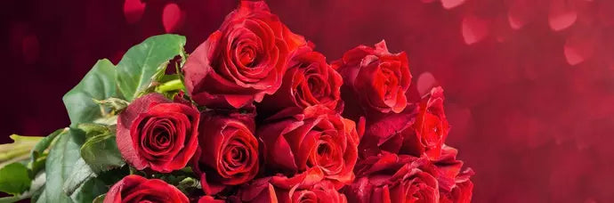 A bouquet of fresh red roses arranged for Valentine’s Day.