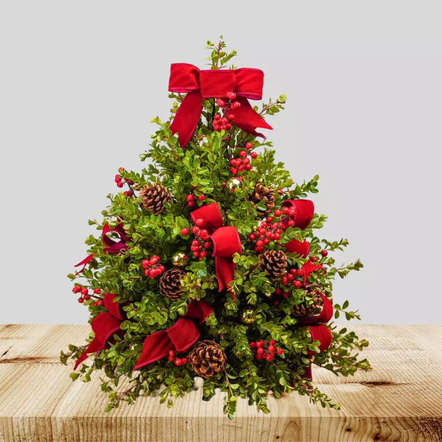 Christmas Boxwood Tree