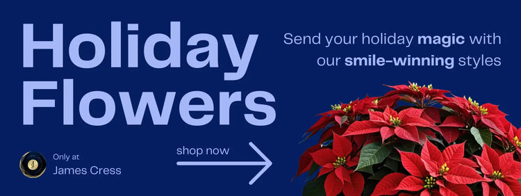 Shop holiday and christmas flowers with same day delivery.
