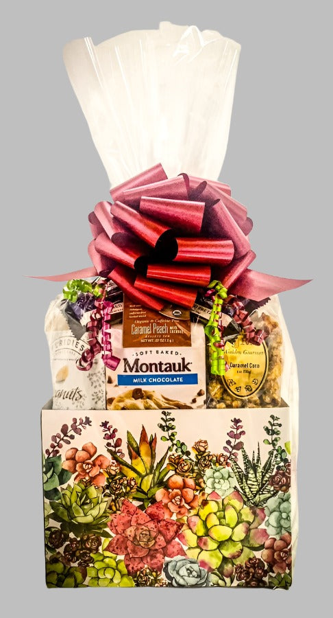 Gran caja de regalo de suculentas