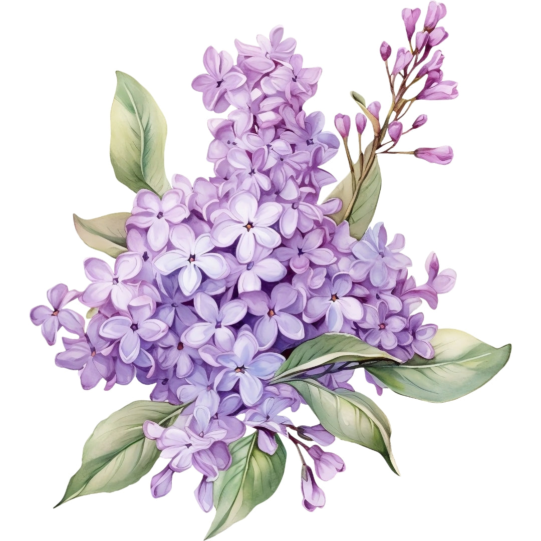 Lilac