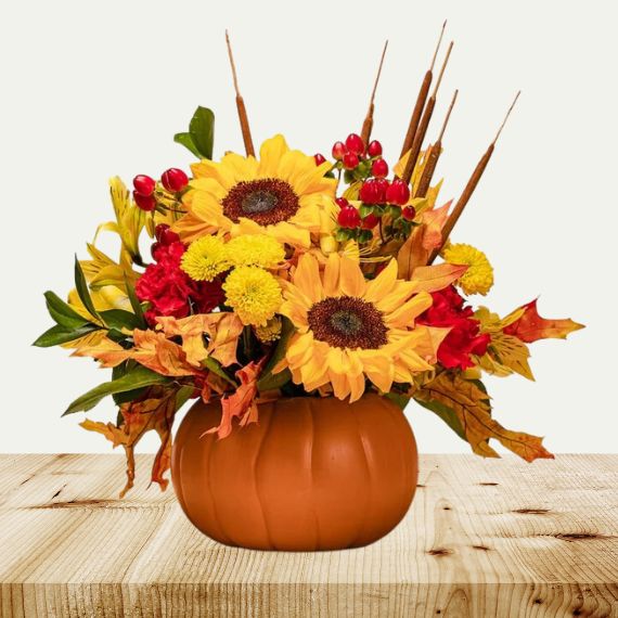 Especia de calabaza 