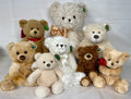 Group of stuffed teddy bears with various colors and accessories on a white background