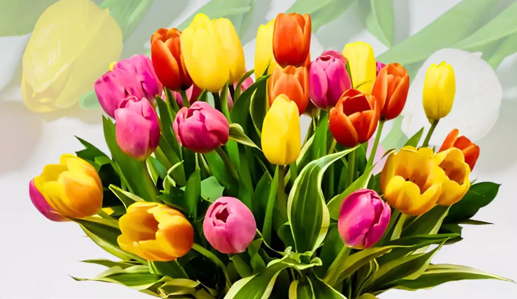 Bright bouquet of pink and yellow tulips in a white modern kitchen, enhancing the space with vibrant spring colors.