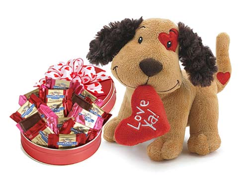 Lotsa Love Valentine Plush w/ Chocolates