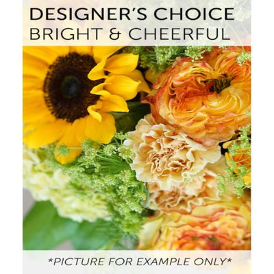 Designers Choice - Bright and Cheerful Designers Choice - Bright and Cheerful