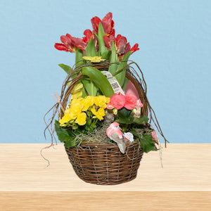 Easter Blooming Flowers