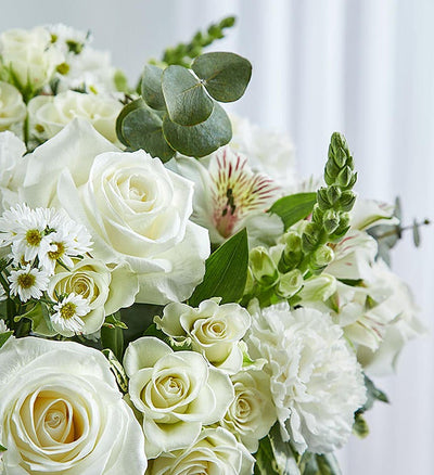 Zoomed in picture of Elegant all-white sympathy floral arrangement in a clear glass cylinder vase, featuring white roses, snapdragons, alstroemeria, carnations, and monte casino, accented with lush greenery and a Ti leaf ribbon. Perfect for memorials or as a thoughtful gift. Zoomed in picture of Elegant all-white sympathy floral arrangement in a clear glass cylinder vase, featuring white roses, snapdragons, alstroemeria, carnations, and monte casino, accented with lush greenery and a Ti leaf ribbon. Perfect for memorials or as a thoughtful gift.
