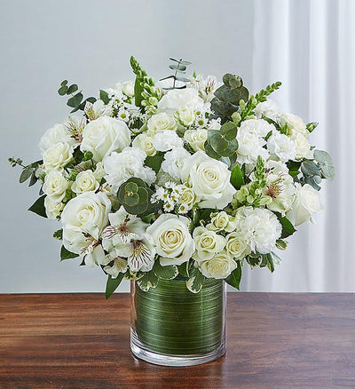 Medium Elegant all-white sympathy floral arrangement in a clear glass cylinder vase, featuring white roses, snapdragons, alstroemeria, carnations, and monte casino, accented with lush greenery and a Ti leaf ribbon. Perfect for memorials or as a thoughtful gift. Medium Elegant all-white sympathy floral arrangement in a clear glass cylinder vase, featuring white roses, snapdragons, alstroemeria, carnations, and monte casino, accented with lush greenery and a Ti leaf ribbon. Perfect for memorials or as a thoughtful gift.