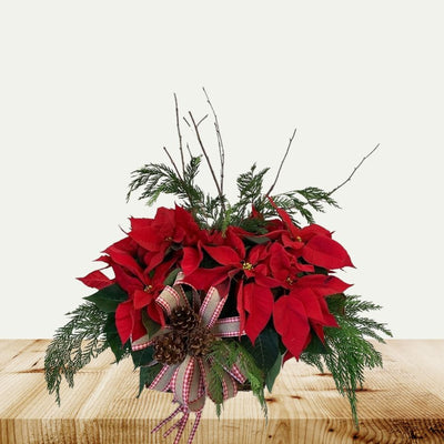 Double Poinsettia Basket - 6 inch Double Poinsettia Basket - 6 inch