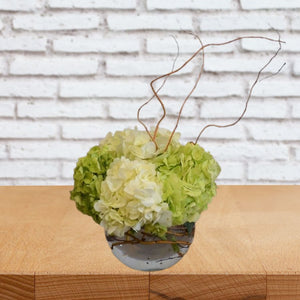Simple Elegance