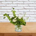 The Irish Garden - Local Florist