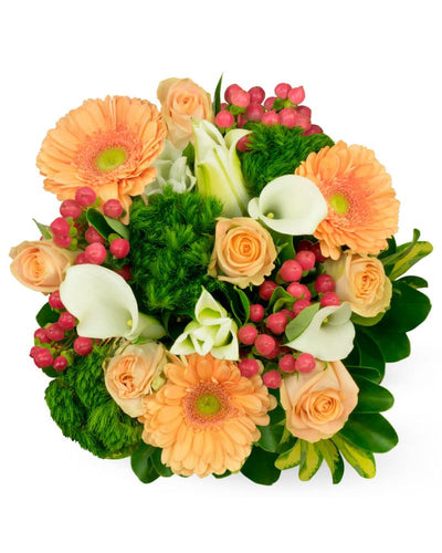 Farm-To-Door Delivery: Happiness Spring Farm-To-Door Delivery: Happiness Spring