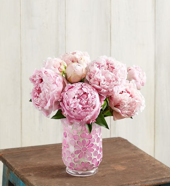 Charm Peony Delight
