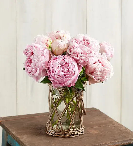 Arrangement de pivoines rustiques