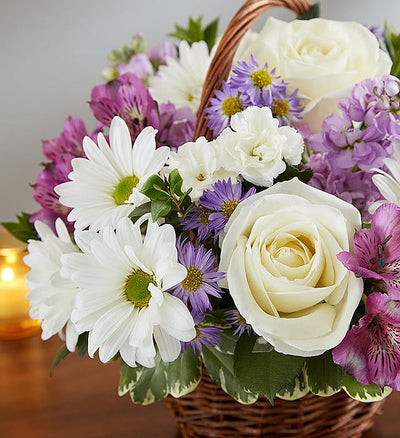 Peace, Prayers & Blessings Lavender & White Peace, Prayers & Blessings Lavender & White