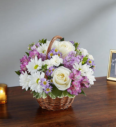 Peace, Prayers & Blessings Lavender & White Peace, Prayers & Blessings Lavender & White