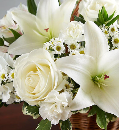 Peace, Prayers & Blessings All White Peace, Prayers & Blessings All White