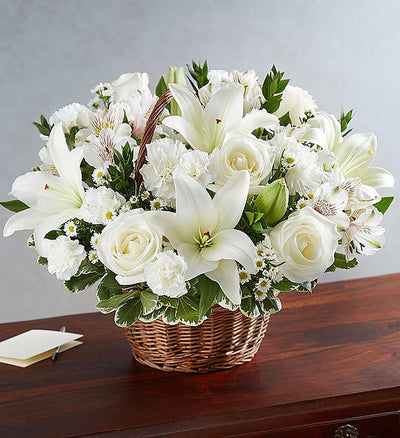 Peace, Prayers & Blessings All White Peace, Prayers & Blessings All White