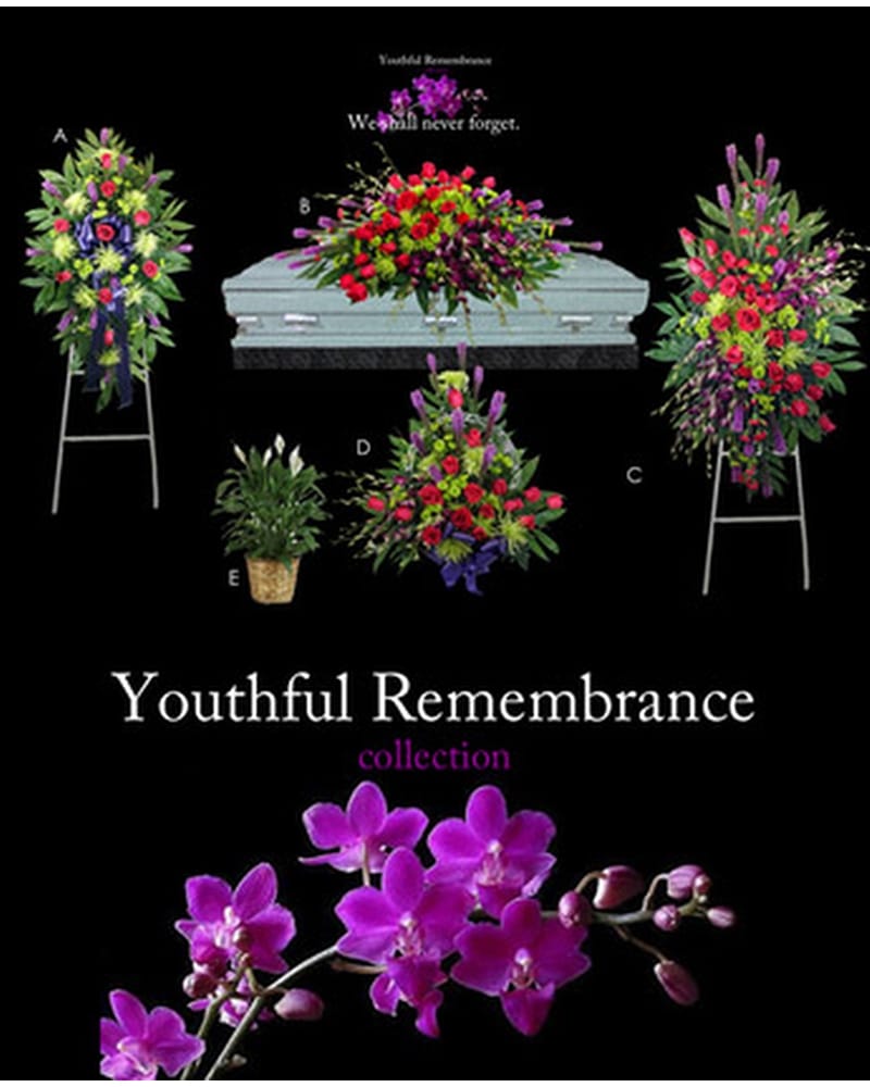 Youthful Remembrance Collection