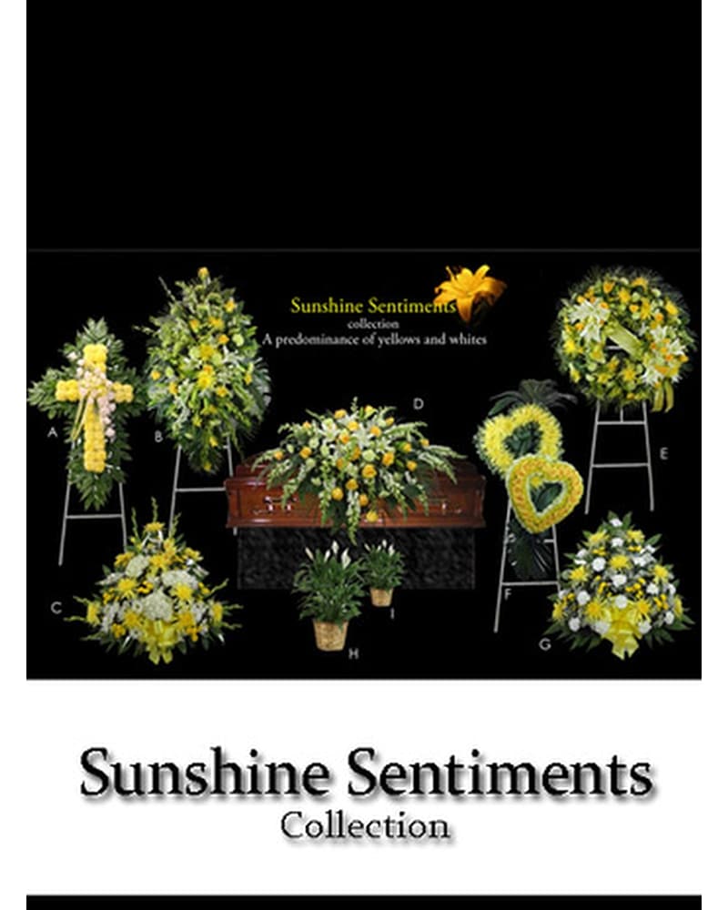 Sunshine Sentiments Collection