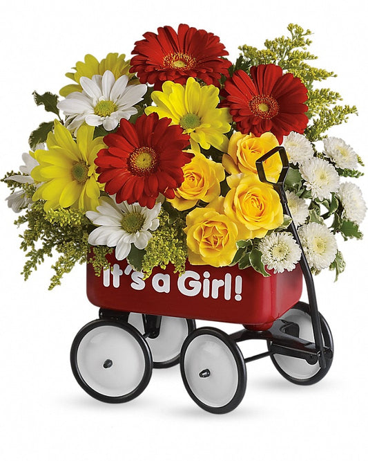 Babys Wow Wagon - Girl